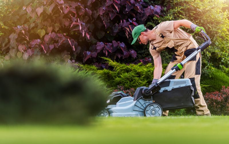 Biweekly Yard Mowing