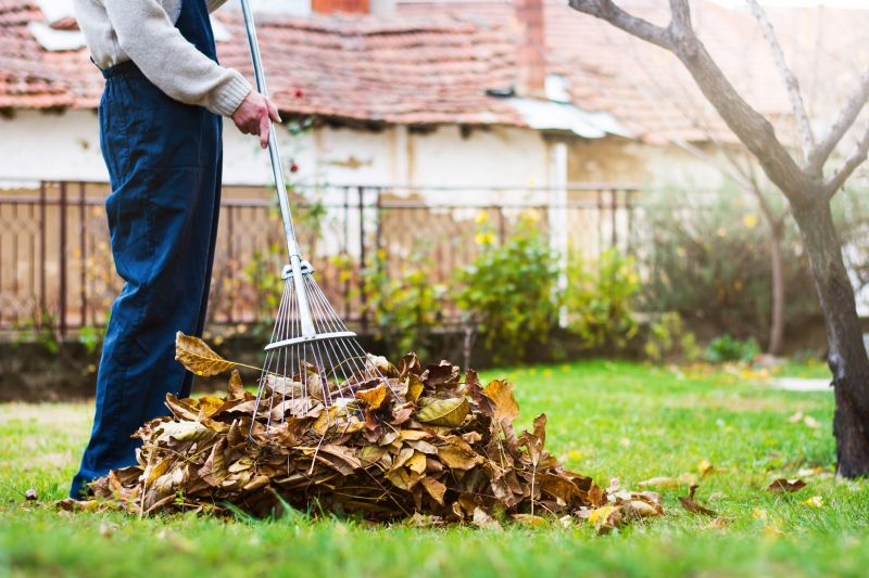 Autumn Leaf Removal in Honolulu, HI