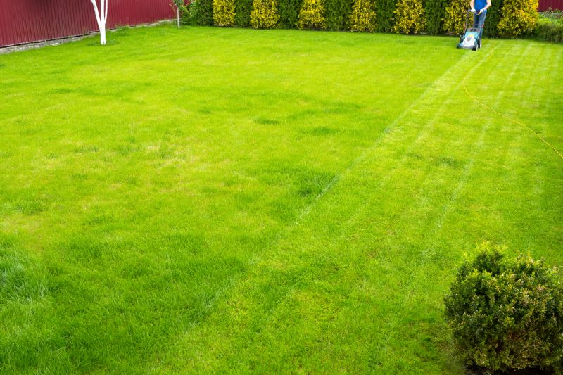 Lawn Size and Complexity