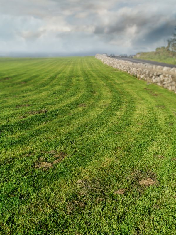 Brush Mowing Service in Duluth, MN