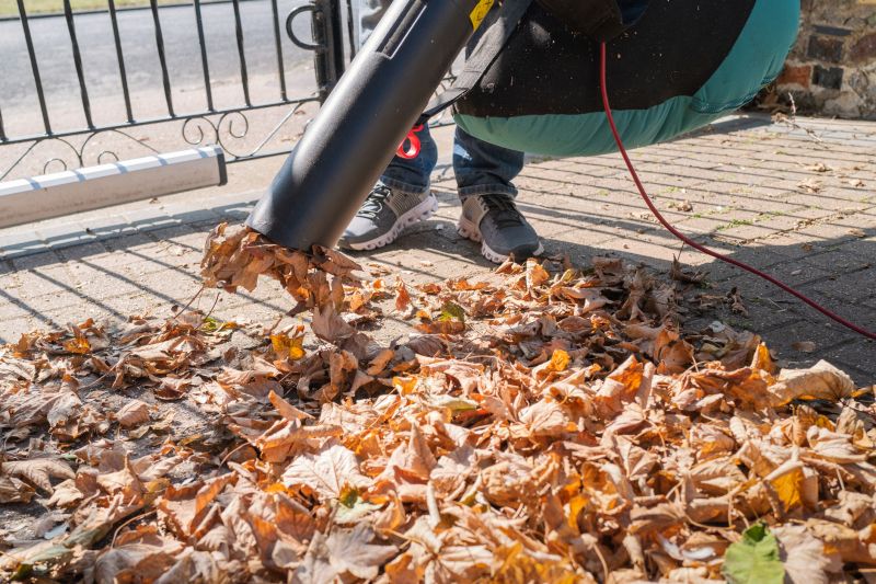 Professional Leaf Removal Equipment