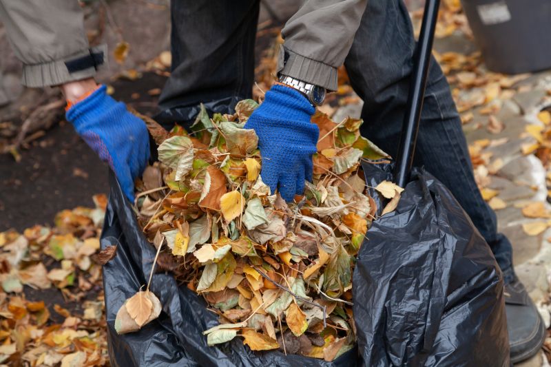 Fall Lawn Cleanup Service in Ventura County, CA