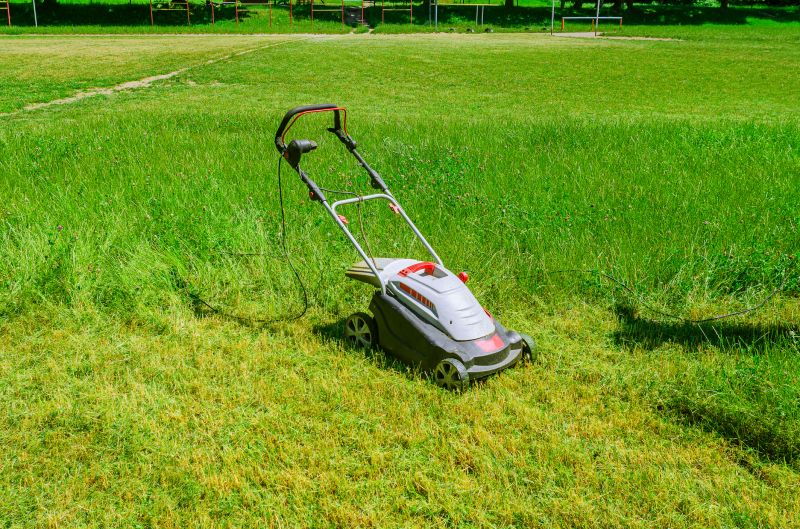 Field Mowing in Duluth, MN