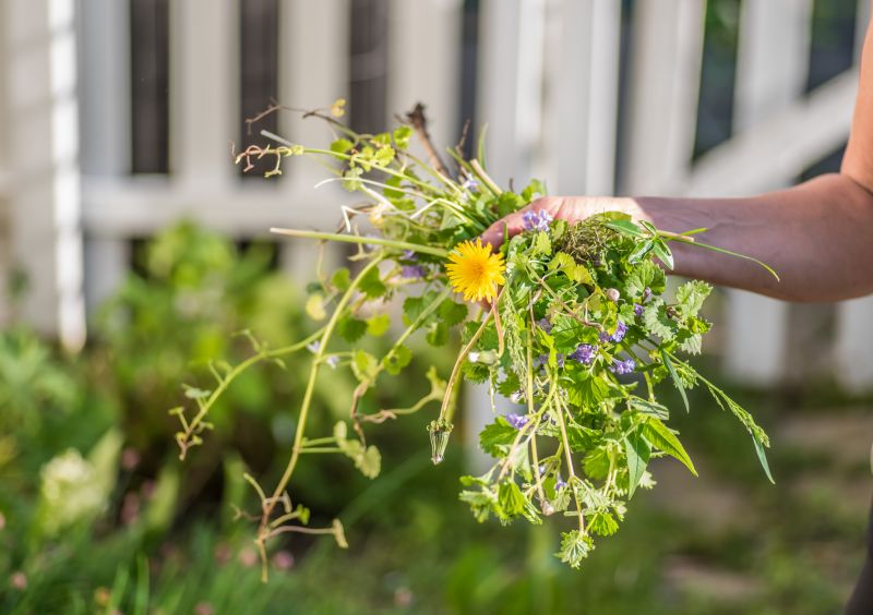 Flower Bed Weeding Service in Rockwall, TX
