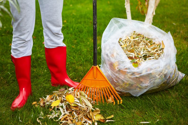 Lawn Cleanup Service in Ventura County, CA