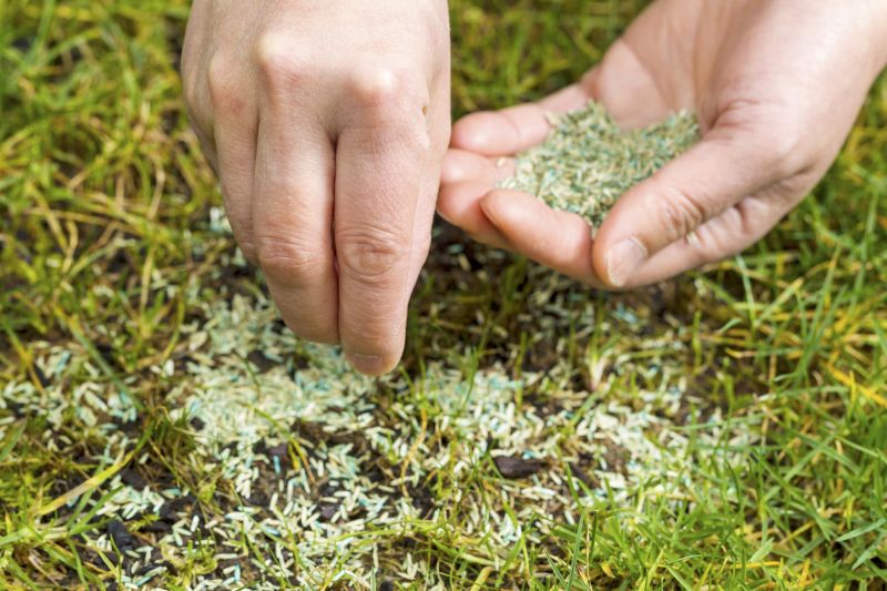 Lawn Reseeding Service in Ventura County, CA
