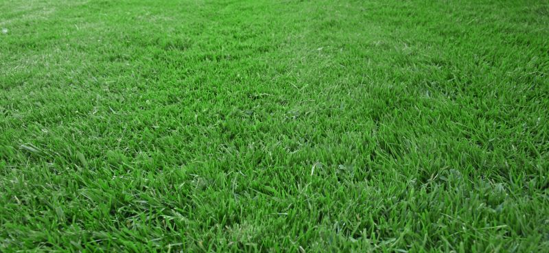 Lawn Seeding in Honolulu, HI
