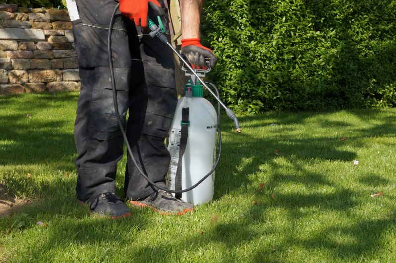 Lawn Spraying in Rockwall, TX