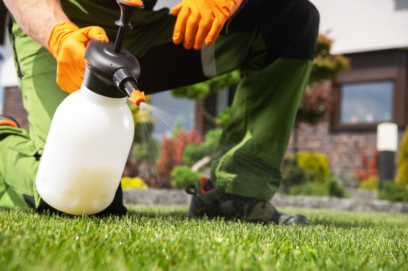 Lawn Treatment Service in Ventura County, CA