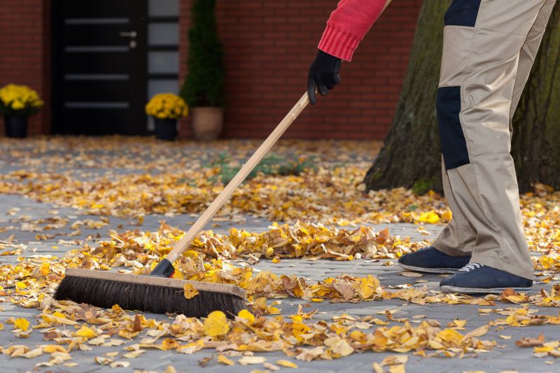 Leaf Cleanup Service in Honolulu, HI