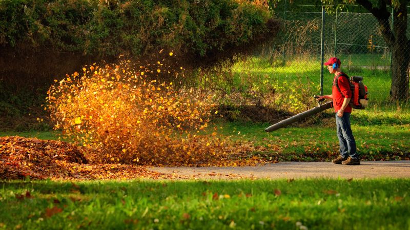 Leaves Vacuuming in Ventura County, CA
