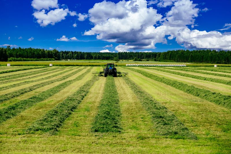 Pasture Mowing in Waldorf, MD