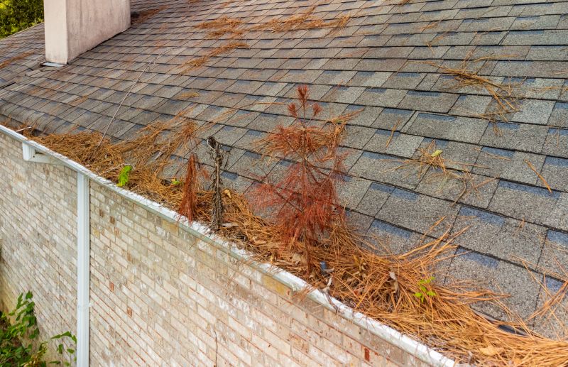 Pine Straw Raking in Honolulu, HI