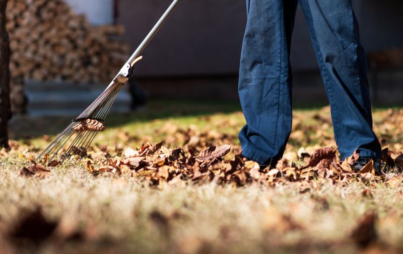 Seasonal Lawn Maintenance in Honolulu, HI