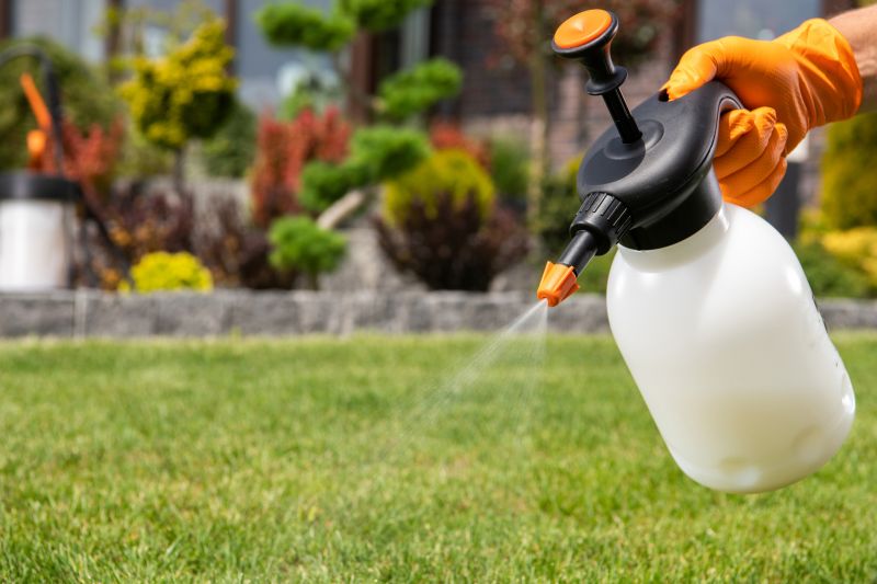 Spring Lawn Fertilizing in Honolulu, HI
