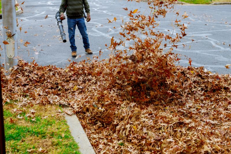 Spring Yard Clean Up Service in Honolulu, HI
