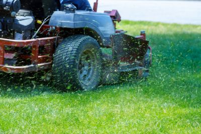 Bush Hog Mowing in Duluth, MN