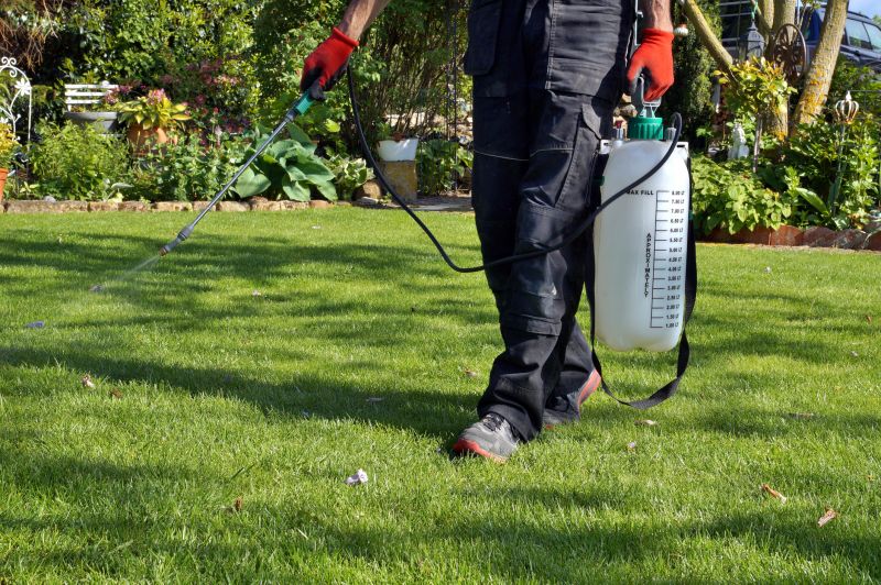 Lawn Fungus Treatment in Ventura County, CA