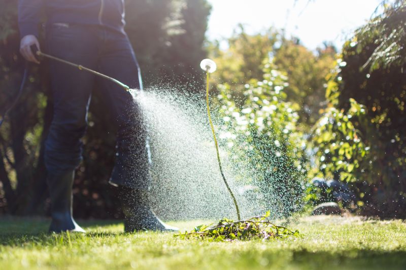 Lawn Herbicide Treatment in Rockwall, TX