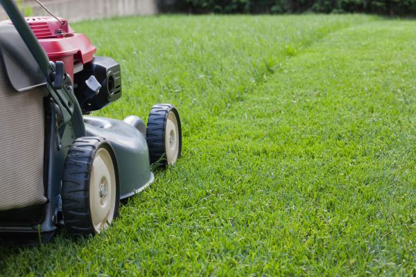 Bi Weekly Mowing - Bi Weekly Mowing Fairfax, Virginia